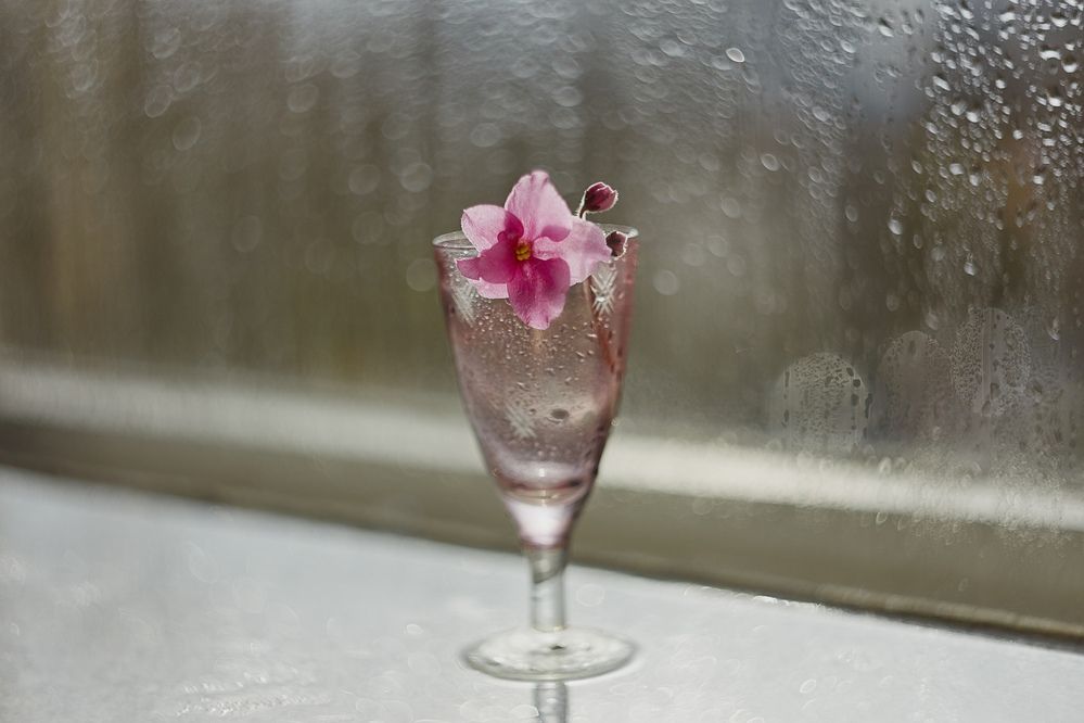 Photograph by Юлия Персинен