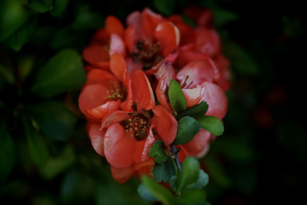 Photograph by Yana Egorova