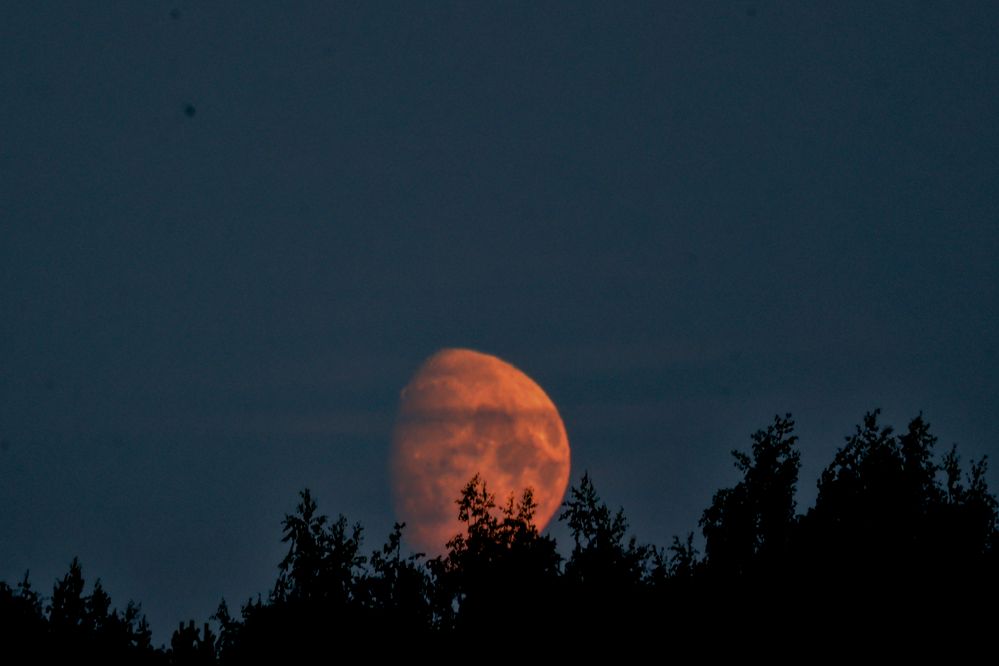 Photograph by Yana Egorova