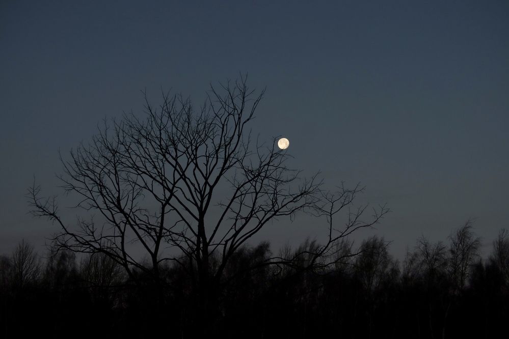 Photograph by Yana Egorova