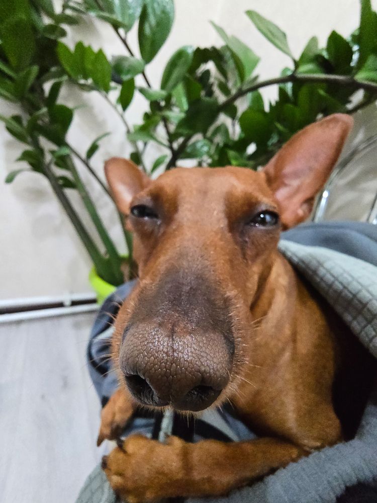 Photograph by Ирина Хлебникова