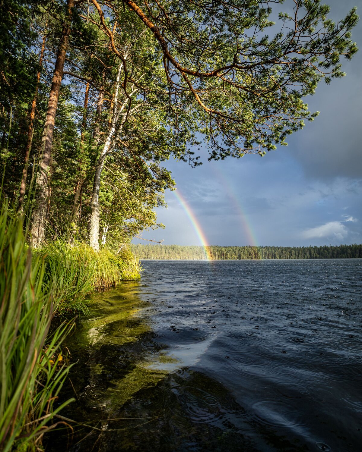 Photo #12475589