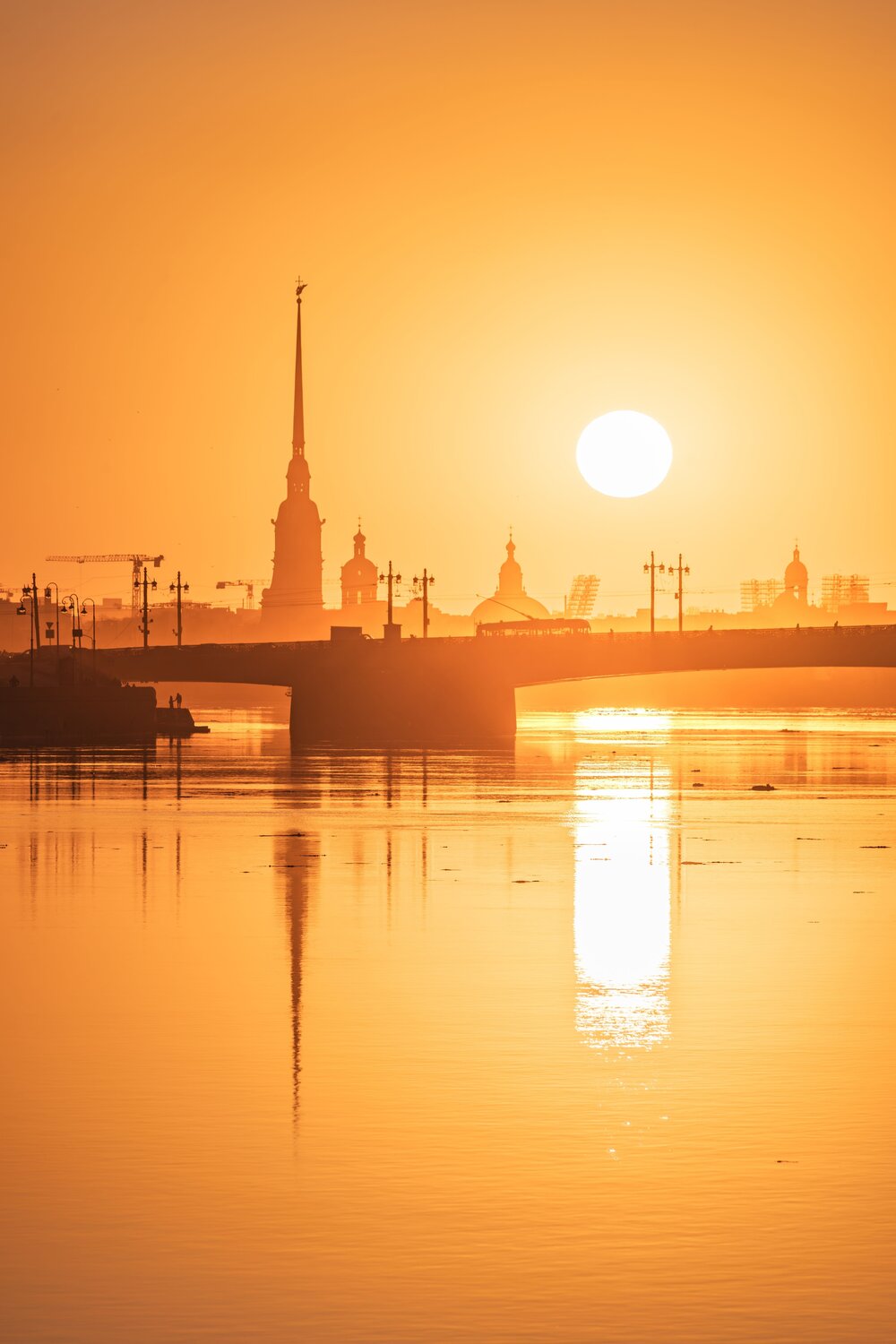 Photo #12475660