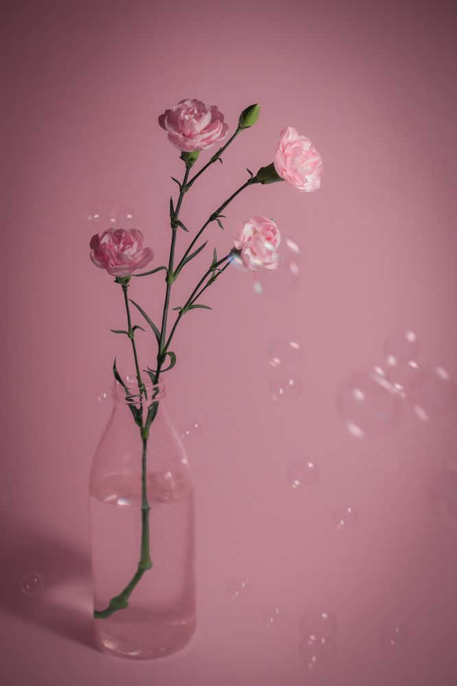 Photograph by Анна Брагина