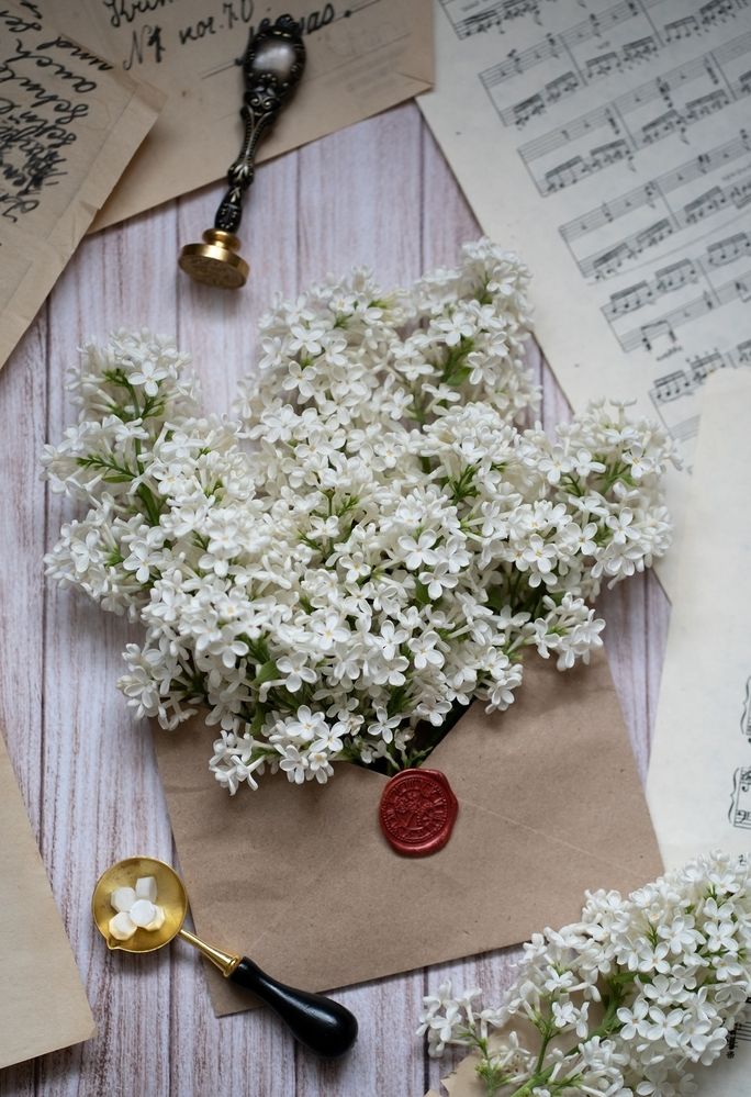 Photograph by Екатерина Одинцова