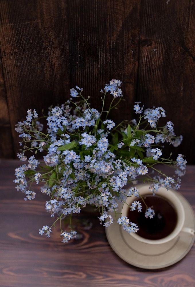 Photograph by Екатерина Одинцова