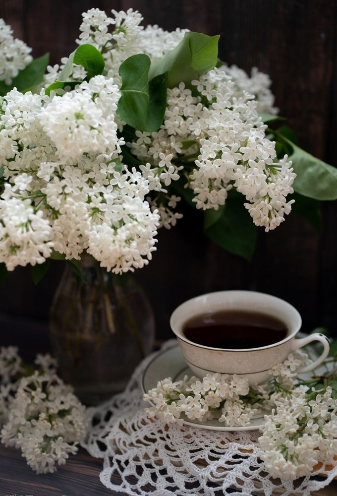 Photograph by Екатерина Одинцова