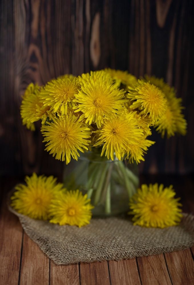 Photograph by Екатерина Одинцова