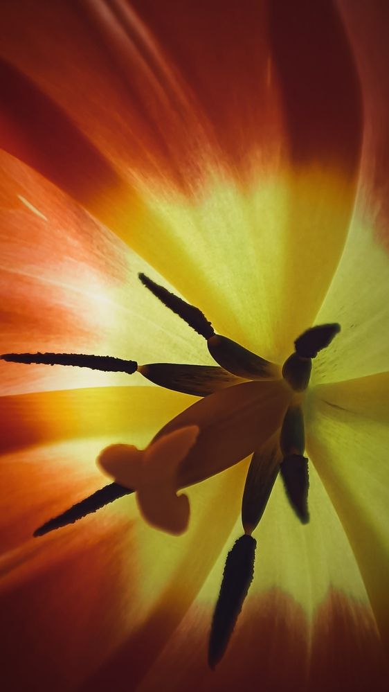 Photograph by Жанна Калашникова