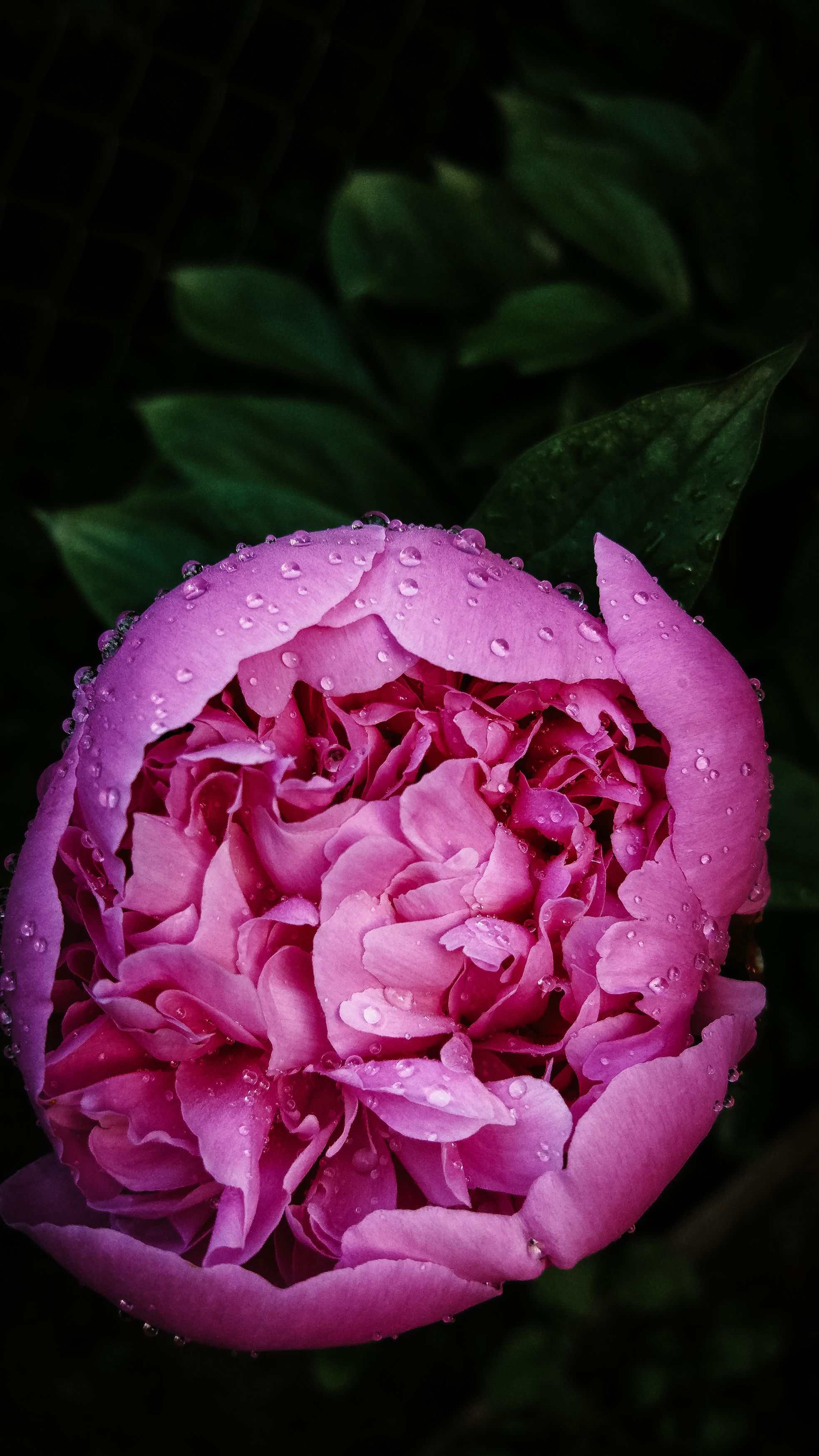 Photograph by Жанна Калашникова