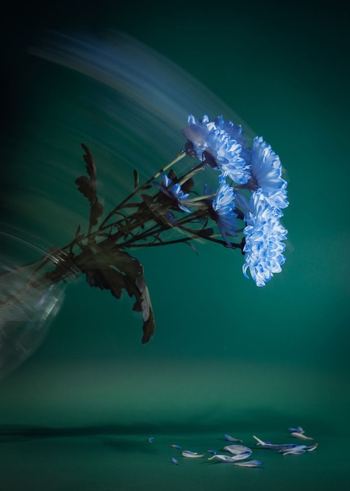 Photograph by Анна Брагина