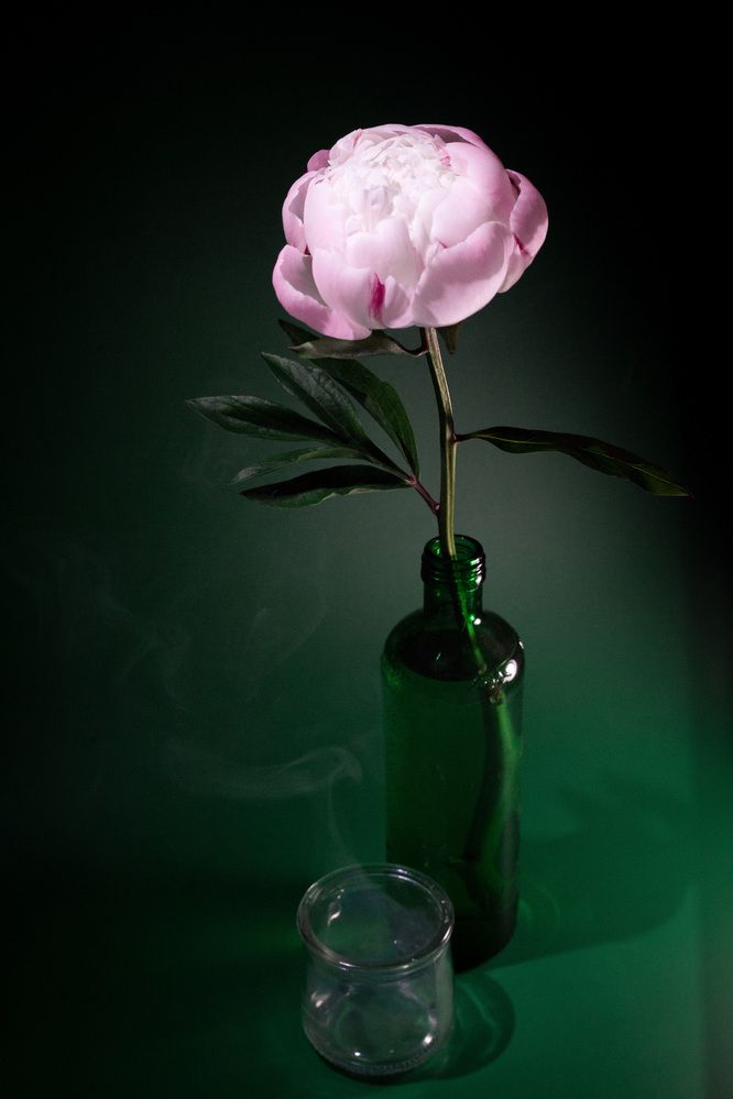 Photograph by Анна Брагина