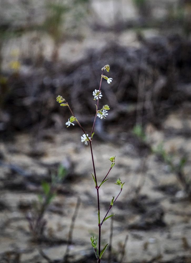 Photograph by Adelina Vasileva