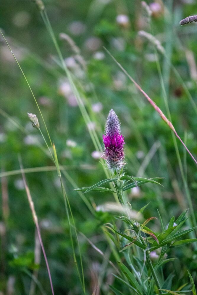 Photograph by Adelina Vasileva