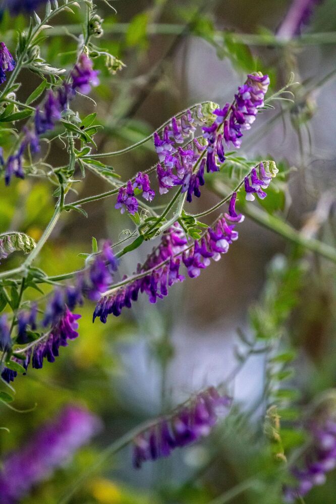 Photograph by Adelina Vasileva