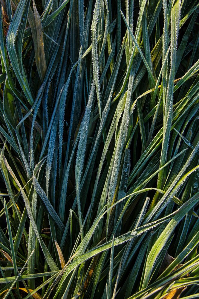 Photograph by Владислав Афанасьев