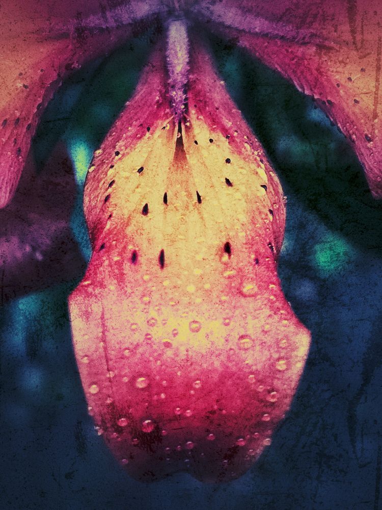 Photograph by Ирина Хлебникова