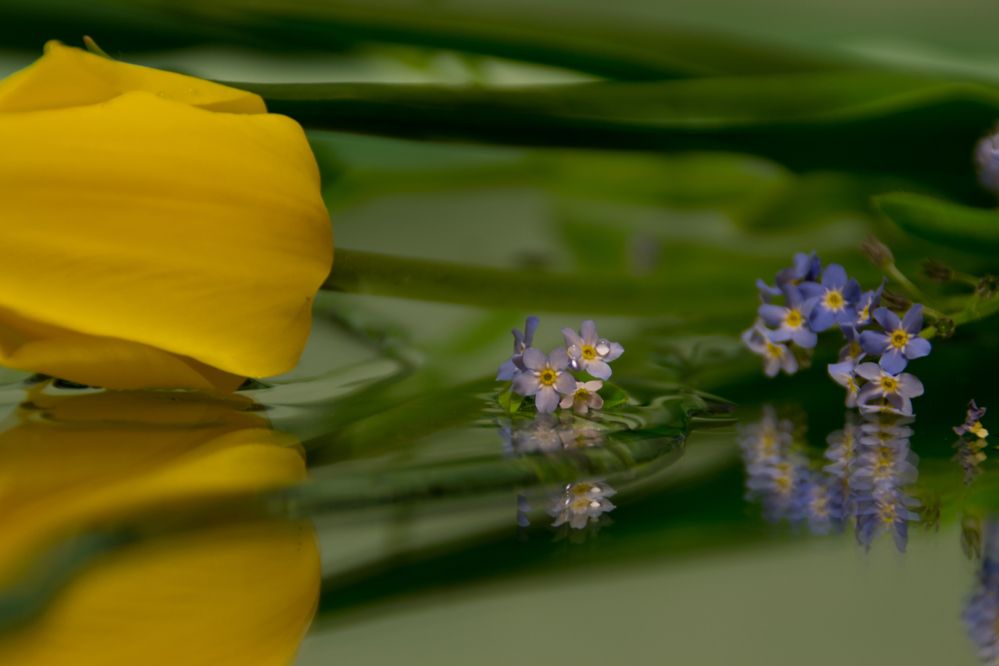 Фотография автора Юлия Кранина