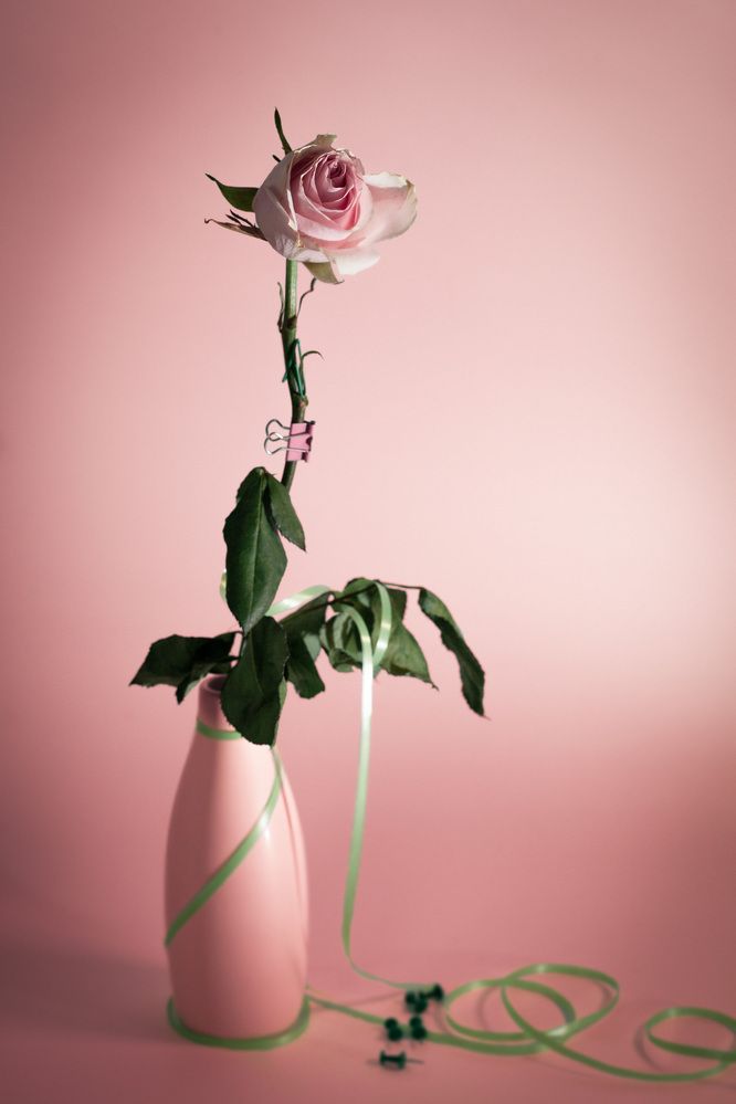 Photograph by Анна Брагина