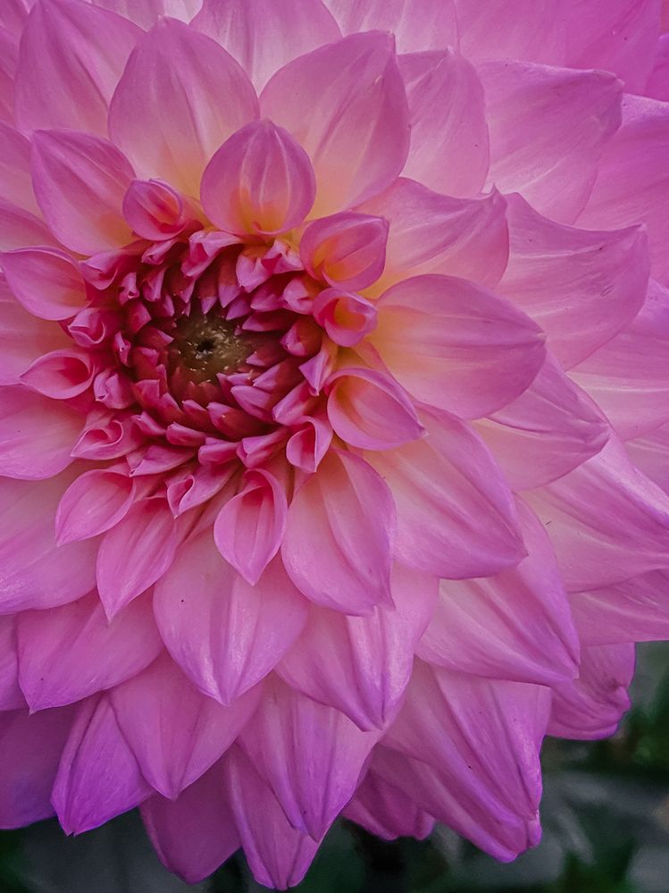 Photograph by Анна Леонова