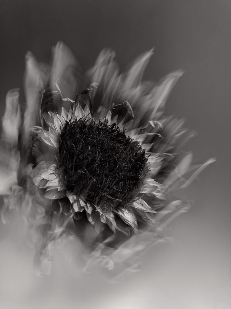 Photograph by Tina Baks