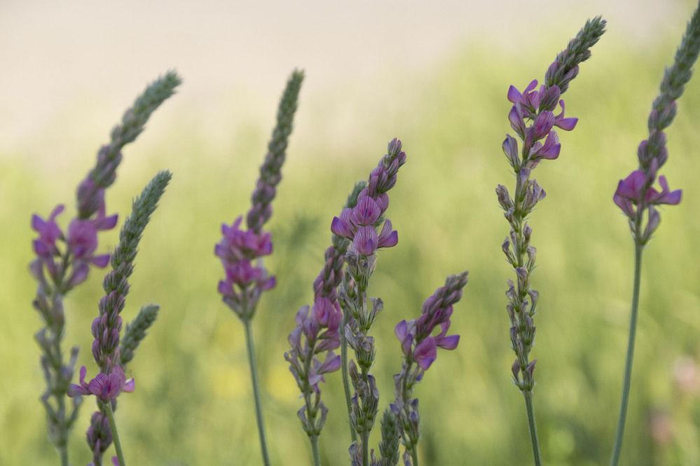 Photograph by Аlessandro