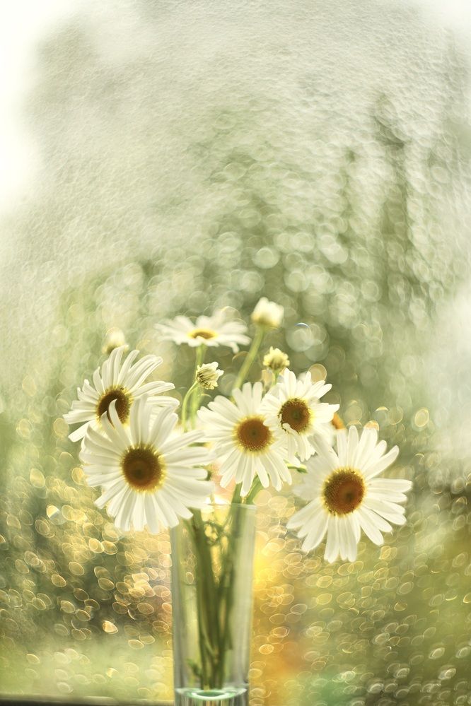 Photograph by Марина Аникина