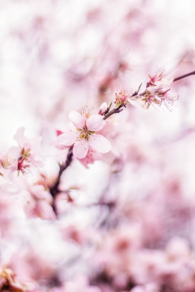 Photograph by Lana Soldatova