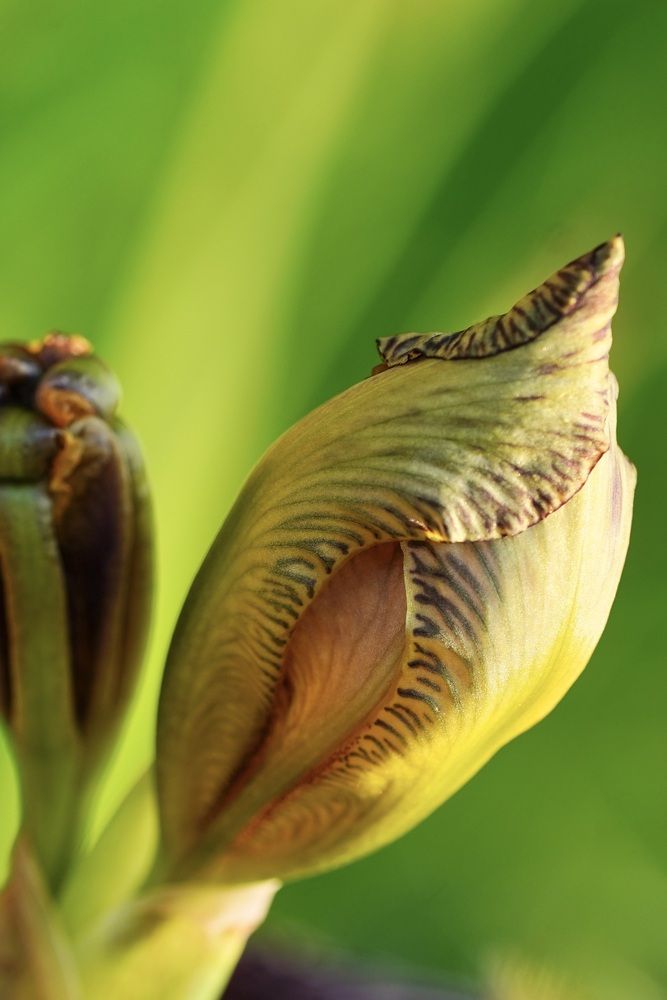 Photograph by Марина Аникина