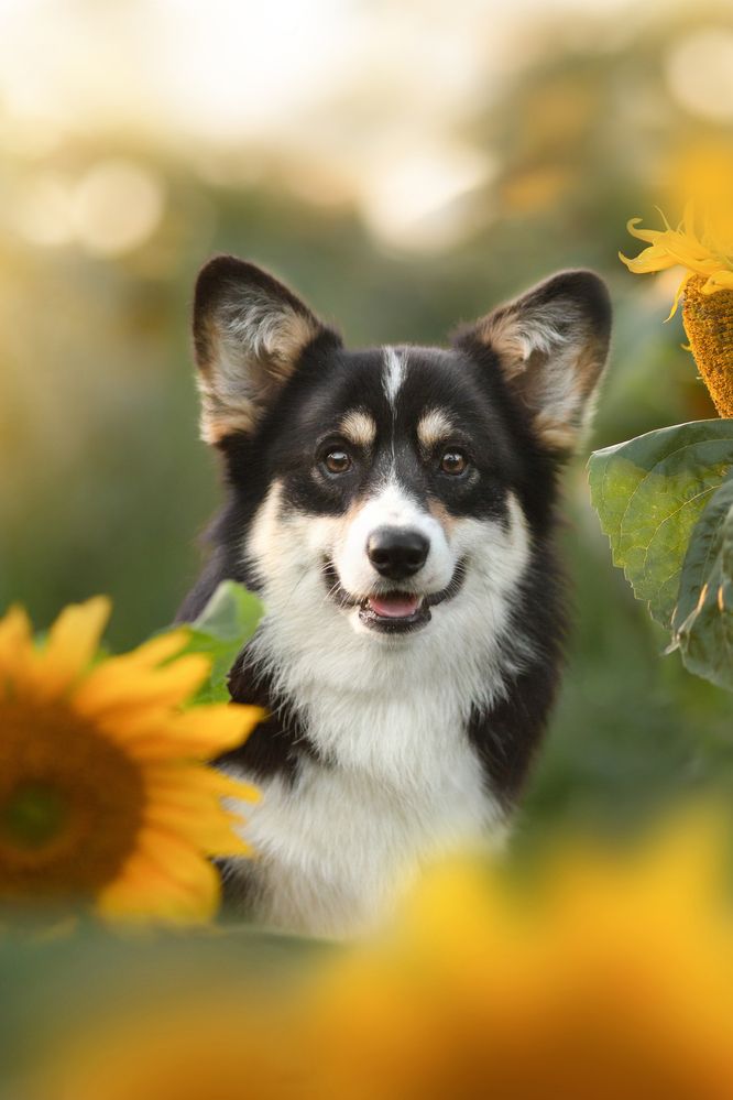 Photograph by Евгения Костусева