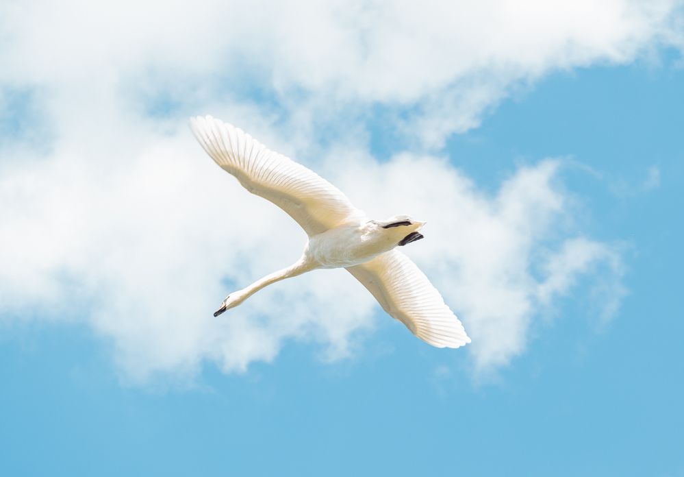 Photograph by Ирина Протченко