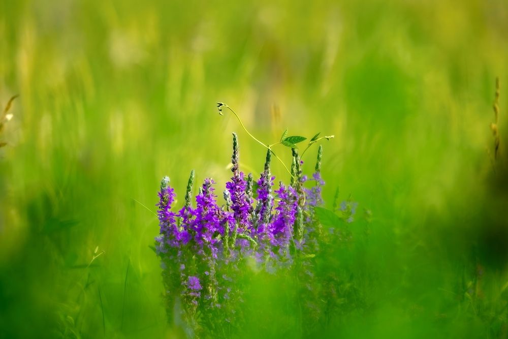 Photograph by Алексей Симонов