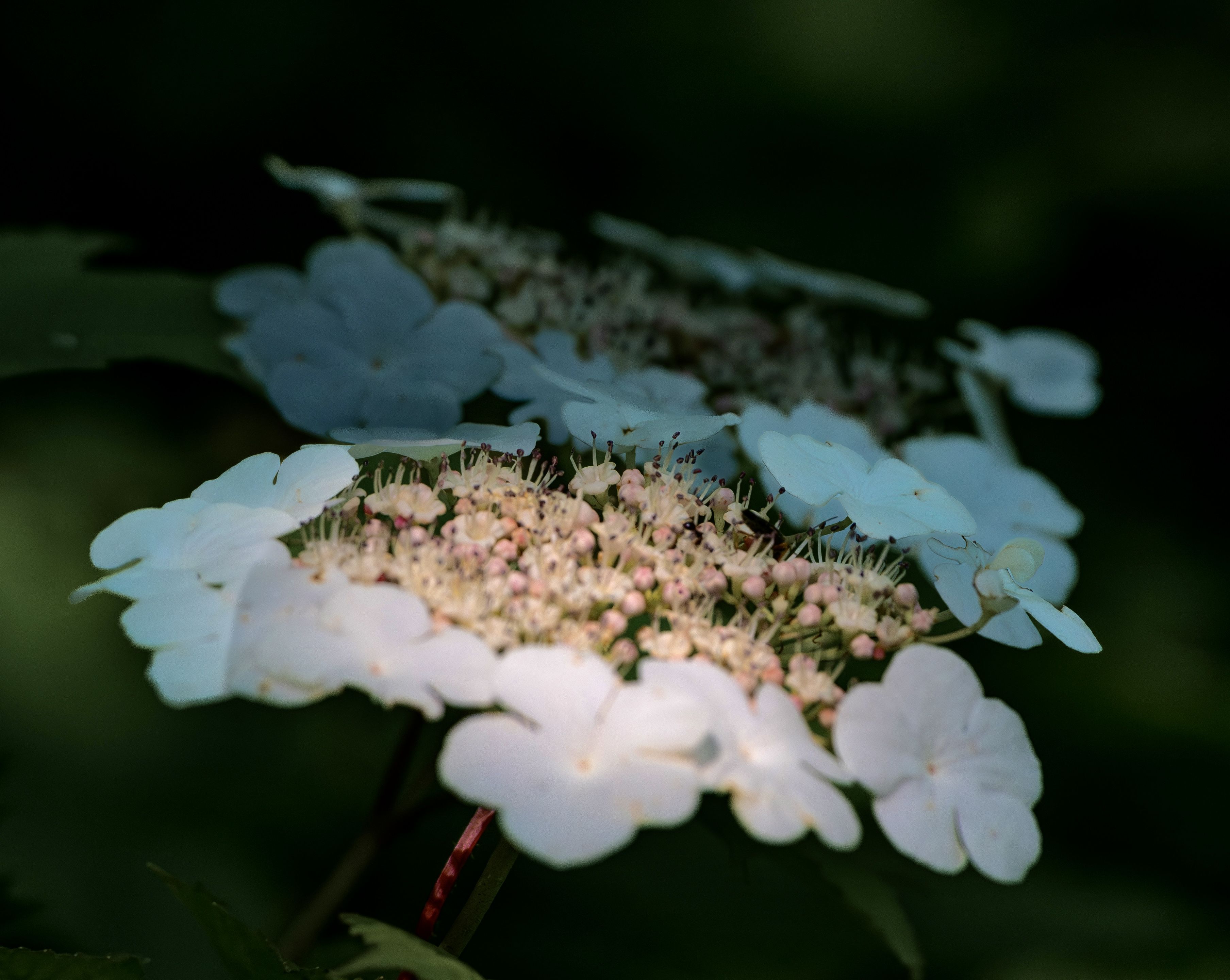 Photograph by Алексей Симонов