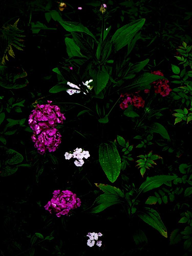 Photograph by Валерий Мыльников