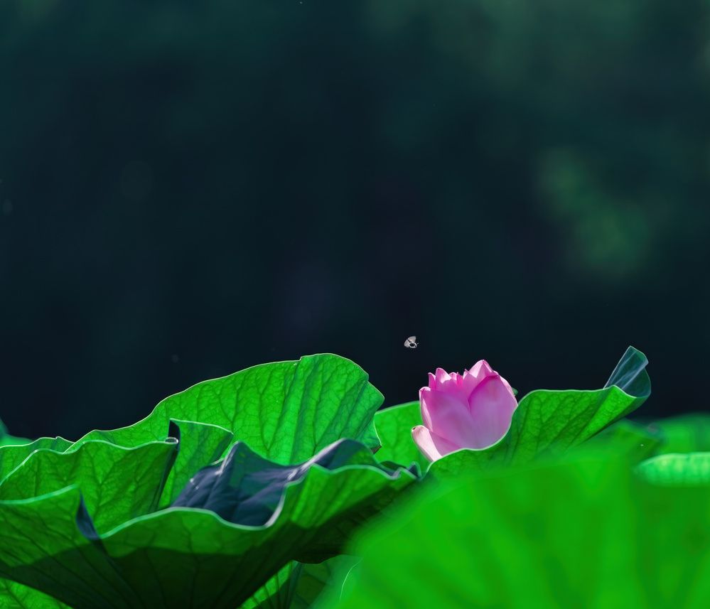 Photograph by Алексей Симонов