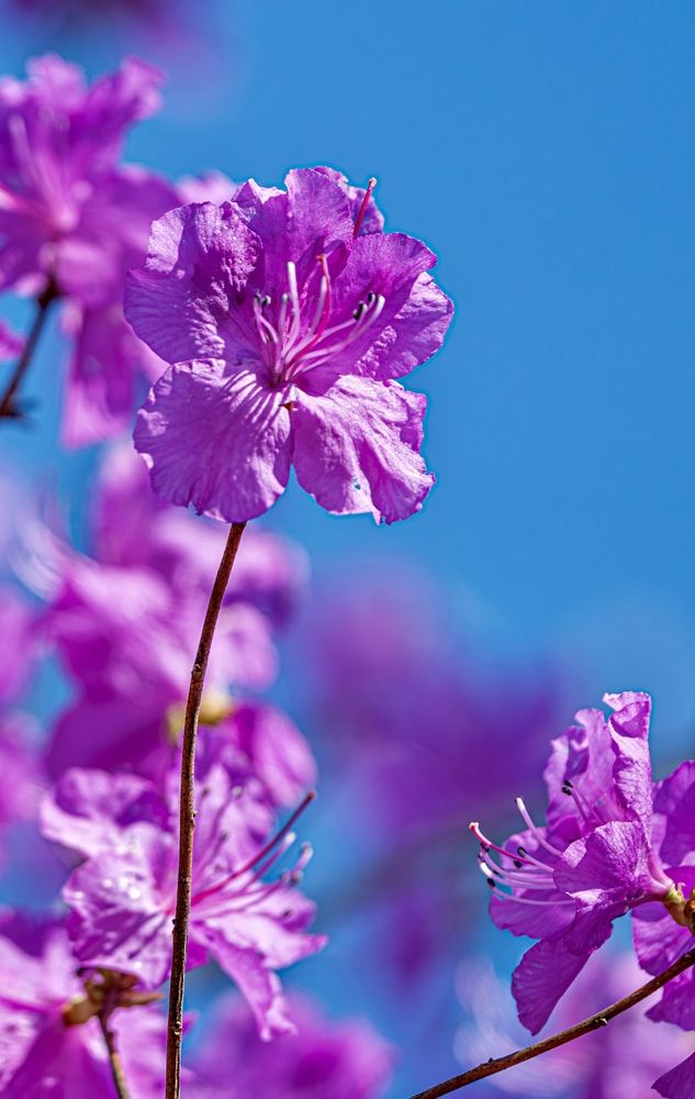 Photograph by Алексей Симонов