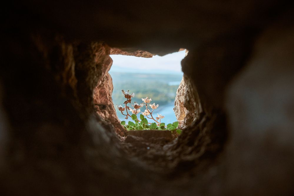 Photograph by Nikola Simic