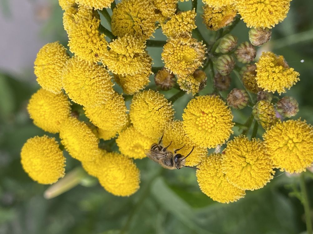 Photograph by Наталья Растопчина