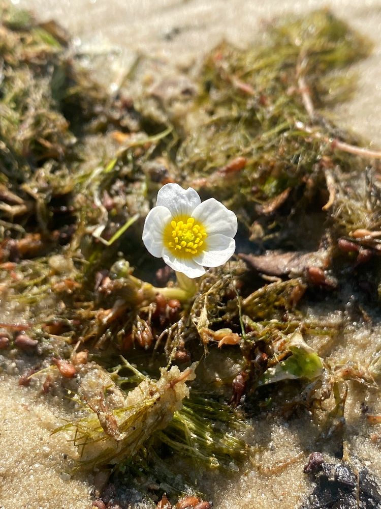 Photograph by Наталья Растопчина