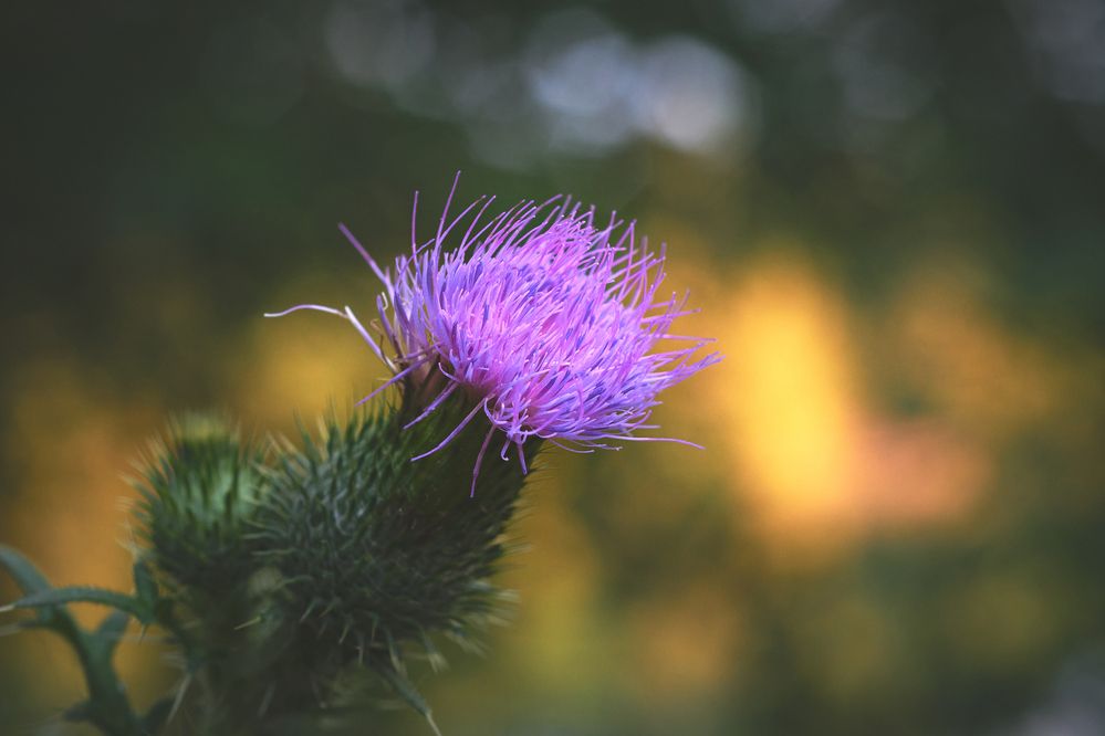 Photograph by Nikola Simic