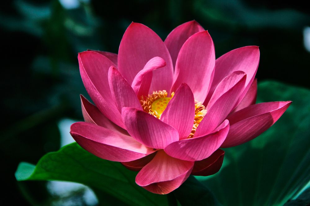 Фотография автора Наталия Мащенко