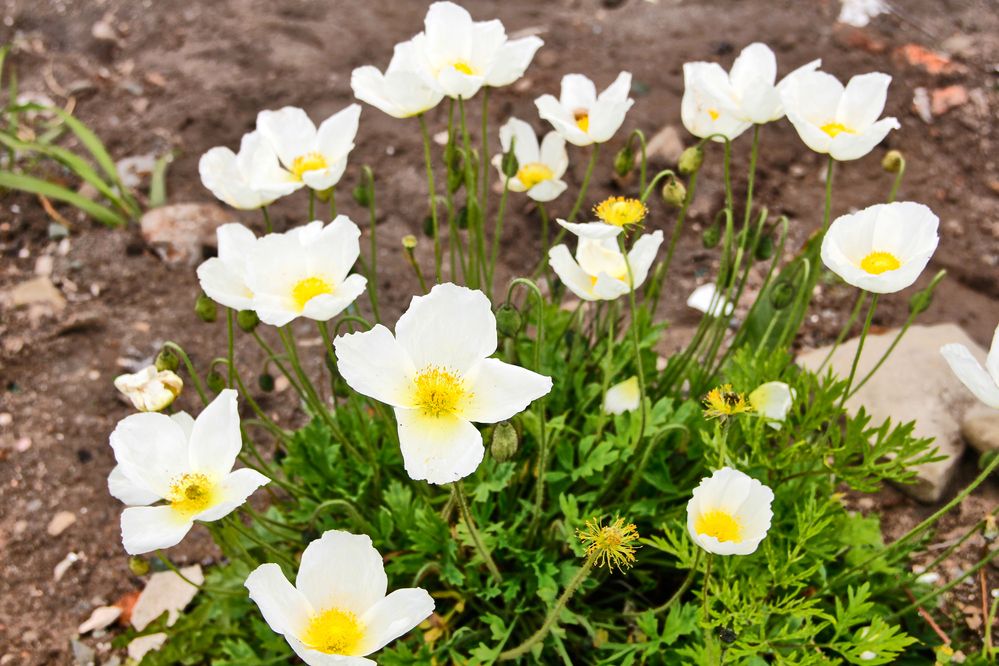 Фотография автора Наталия Мащенко