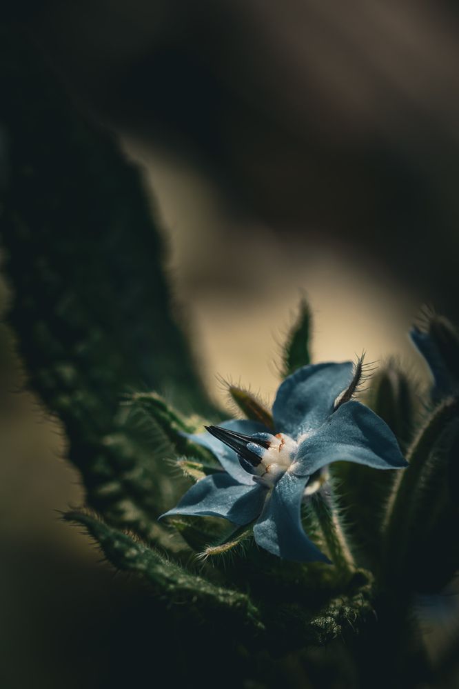 Photograph by Silvina Sánchez