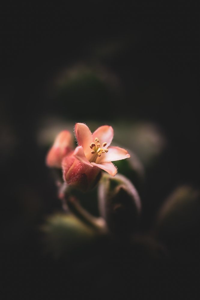 Photograph by Silvina Sánchez