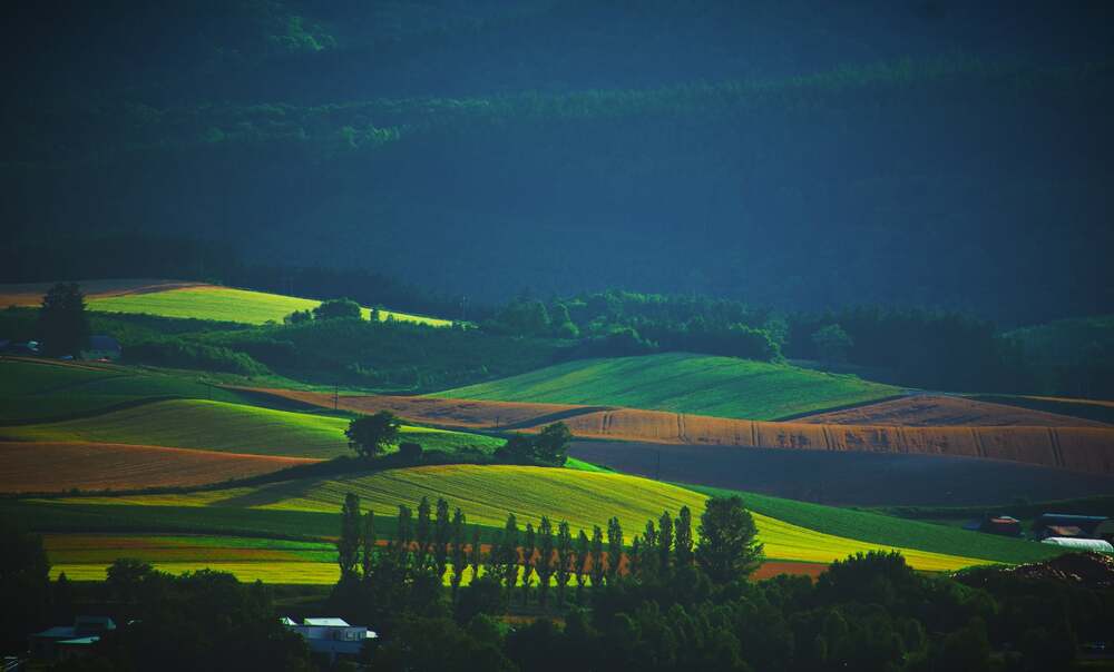 Photograph by Sen Abhijit