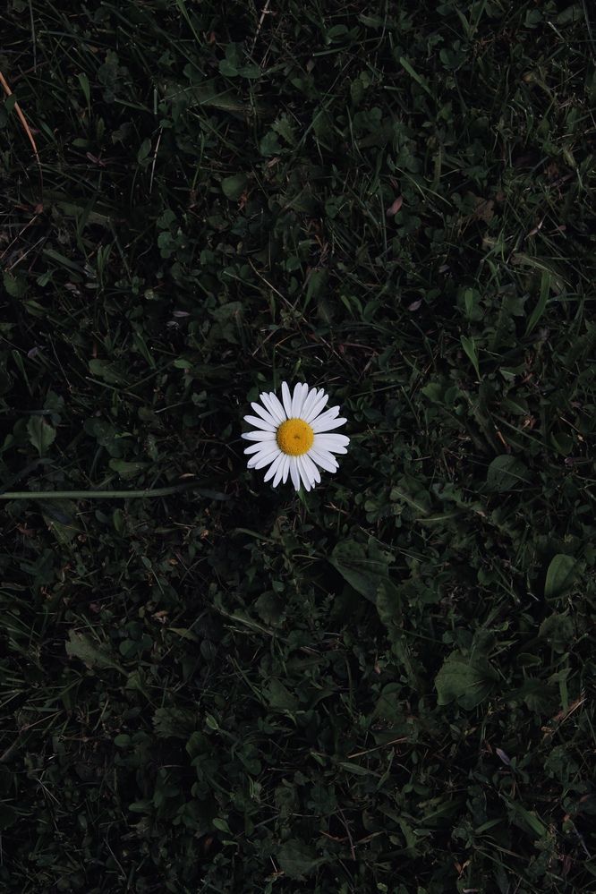 Фотография автора Эльза Завьялова