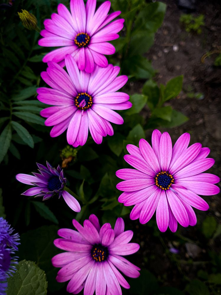 Photograph by Дарья Целуйко