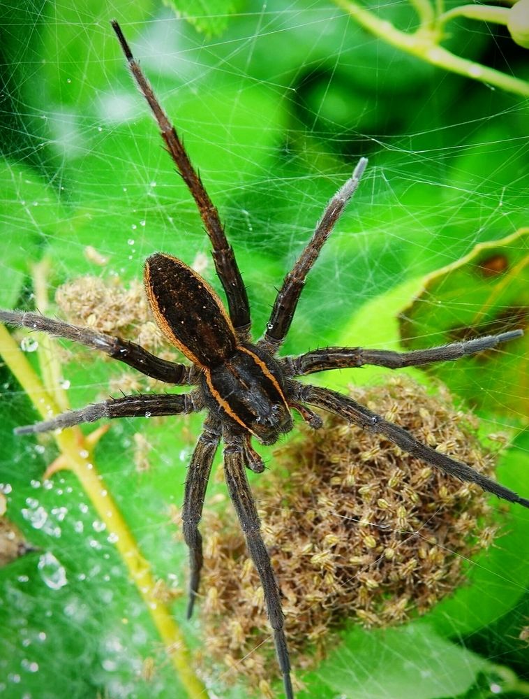 Неужели это всё моё?