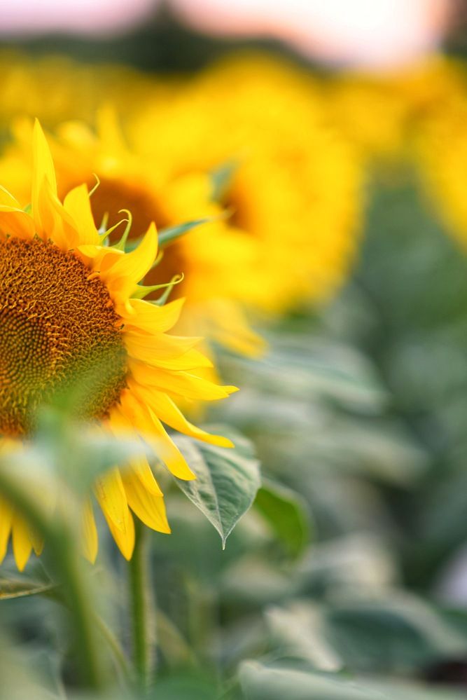 Photograph by Марина Мирошникова