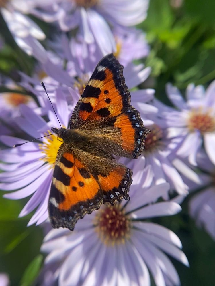 Photograph by Станислава Садыкова